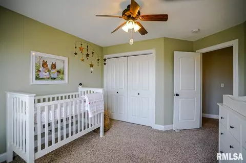 827 Stonebridge Dr, Metamora, IL 61548 photo 29