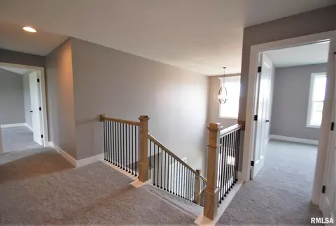 3718 W Thistle Ln, Dunlap, IL 61525 photo 13