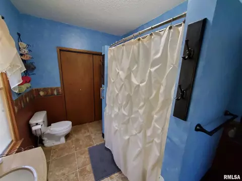 16471 Mclean Rd, Danvers, IL 61732 photo 24