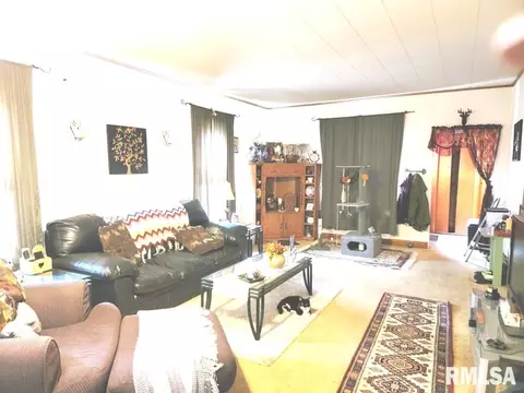 1163 E Chestnut St, Canton, IL 61520 photo 13
