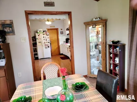 1163 E Chestnut St, Canton, IL 61520 photo 5