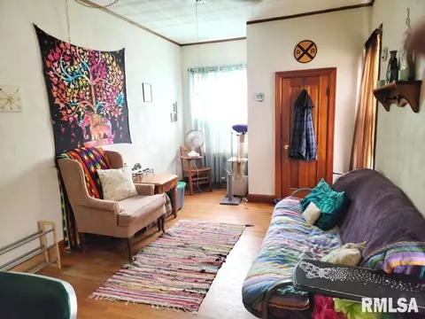 1163 E Chestnut St, Canton, IL 61520 photo 25