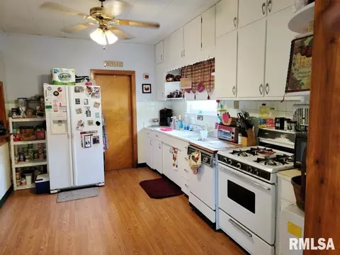 1163 E Chestnut St, Canton, IL 61520 photo 9