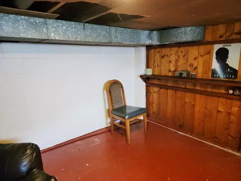 1163 E Chestnut St, Canton, IL 61520 photo 36
