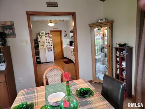 1163 E Chestnut St, Canton, IL 61520 photo 3