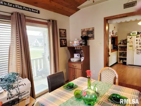 1163 E Chestnut St, Canton, IL 61520 photo 6