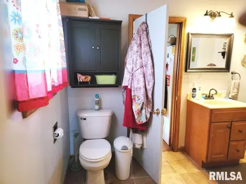 1163 E Chestnut St, Canton, IL 61520 photo 17