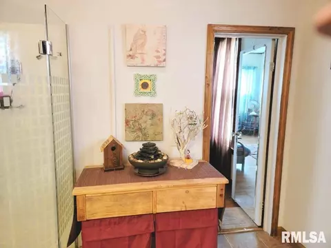 1163 E Chestnut St, Canton, IL 61520 photo 23