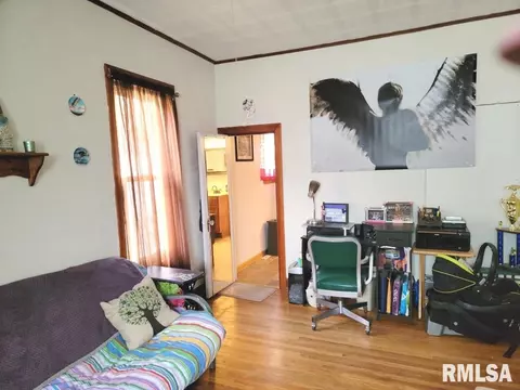 1163 E Chestnut St, Canton, IL 61520 photo 26