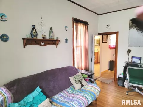 1163 E Chestnut St, Canton, IL 61520 photo 27