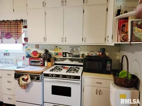 1163 E Chestnut St, Canton, IL 61520 photo 8