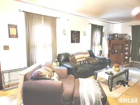 1163 E Chestnut St, Canton, IL 61520 photo 14