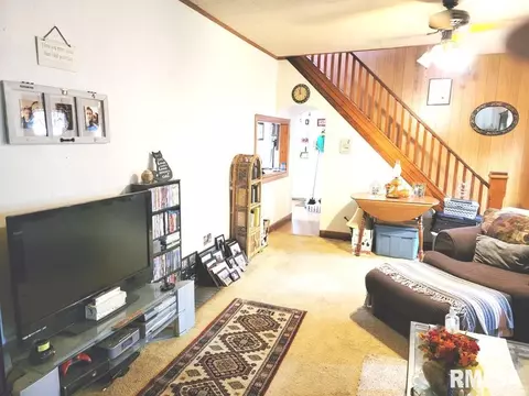 1163 E Chestnut St, Canton, IL 61520 photo 16
