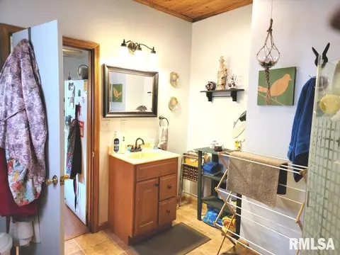 1163 E Chestnut St, Canton, IL 61520 photo 24