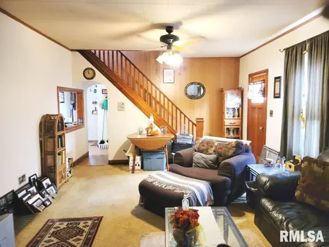 1163 E Chestnut St, Canton, IL 61520 photo 15