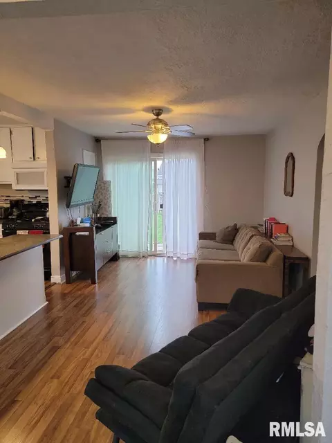 820 E Ash St, Canton, IL 61520 photo 13