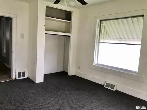 807 E Ash St, Canton, IL 61520 photo 18