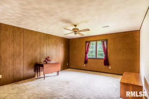 8720 E Manito Rd, Manito, IL 61546 photo 28