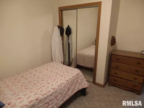 1101 School St, Henry, IL 61537 photo 17