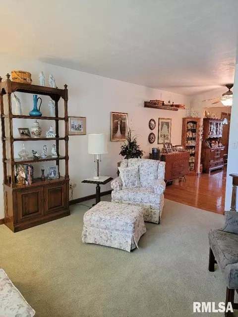 1440 E Ash St, Canton, IL 61520 photo 4