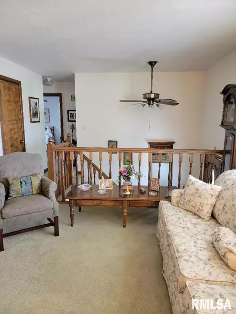 1440 E Ash St, Canton, IL 61520 photo 8