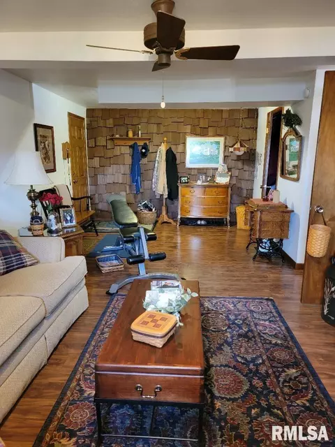 1440 E Ash St, Canton, IL 61520 photo 37