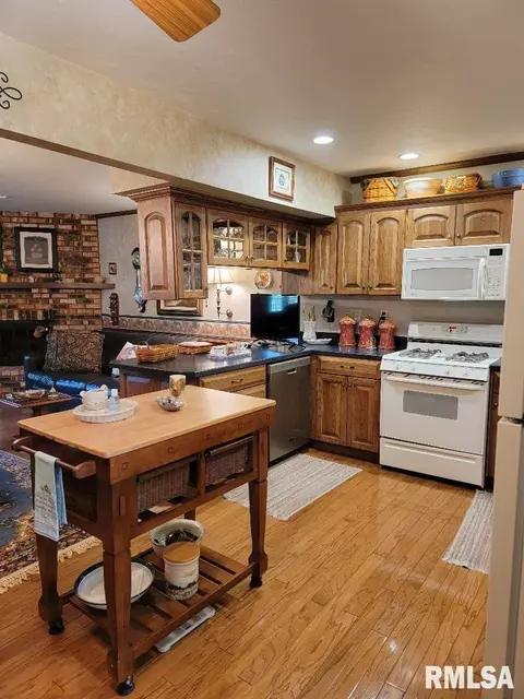 1440 E Ash St, Canton, IL 61520 photo 11