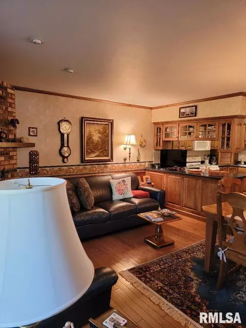 1440 E Ash St, Canton, IL 61520 photo 30
