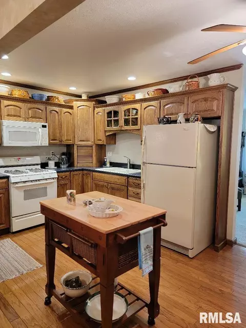 1440 E Ash St, Canton, IL 61520 photo 10