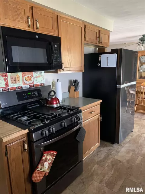 1965 E Chestnut St, Canton, IL 61520 photo 23