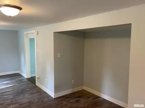 208 E 2nd St, Delavan, IL 61734 photo 9