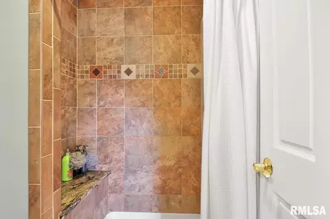 409 W 4th St, Delavan, IL 61734 photo 30