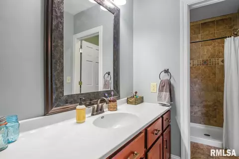 409 W 4th St, Delavan, IL 61734 photo 29