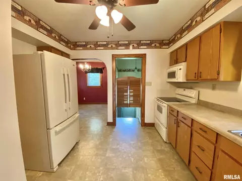 835 E Ash St, Canton, IL 61520 photo 18