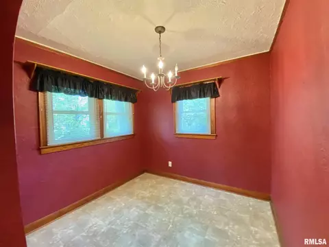 835 E Ash St, Canton, IL 61520 photo 21