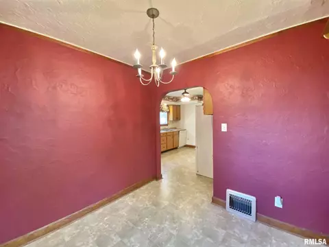 835 E Ash St, Canton, IL 61520 photo 22