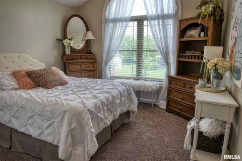 110 Cypress Pt, Washington, IL 61571 photo 23