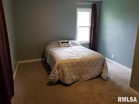 213 N Central Ave, Saint David, IL 61563 photo 15