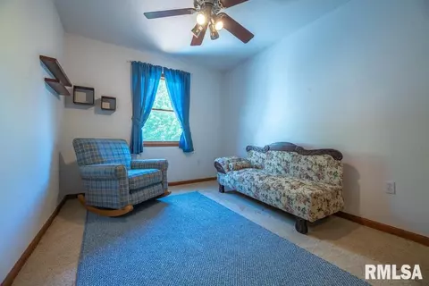 4324 S Banbury Cv, Mapleton, IL 61547 photo 41