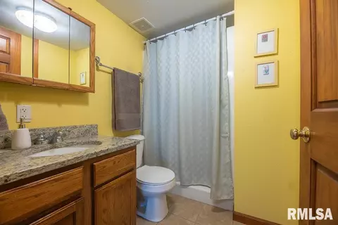 4324 S Banbury Cv, Mapleton, IL 61547 photo 44