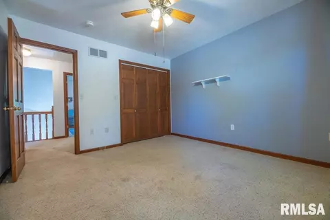4324 S Banbury Cv, Mapleton, IL 61547 photo 38