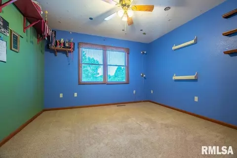 4324 S Banbury Cv, Mapleton, IL 61547 photo 35