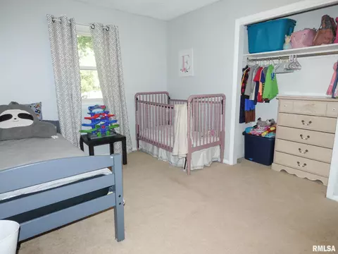 533 Cedar Dr, Metamora, IL 61548 photo 28