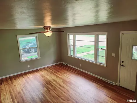 740 E Myrtle St, Canton, IL 61520 photo 6