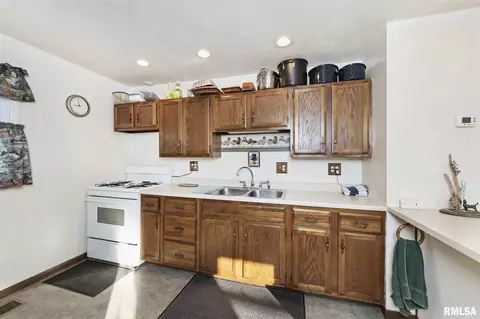 1603 E Beach St, Peoria, IL 61615 photo 10