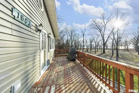 1603 E Beach St, Peoria, IL 61615 photo 29