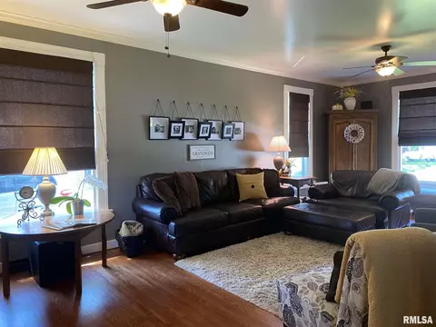 746 E Walnut St, Canton, IL 61520 photo 7
