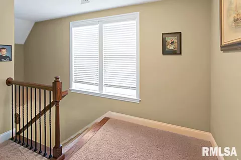 558 Elm St, Canton, IL 61520 photo 23