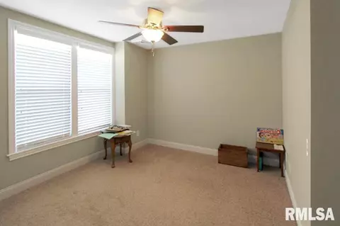 558 Elm St, Canton, IL 61520 photo 21