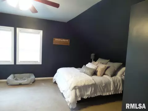 908 Main St, Henry, IL 61537 photo 23